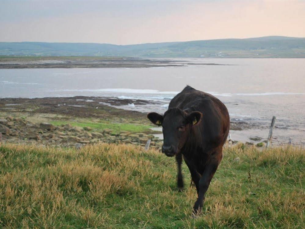 Creevagh Heights B&B Killala Bagian luar foto